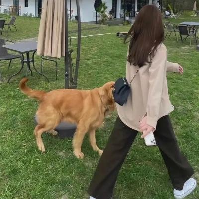 宴请